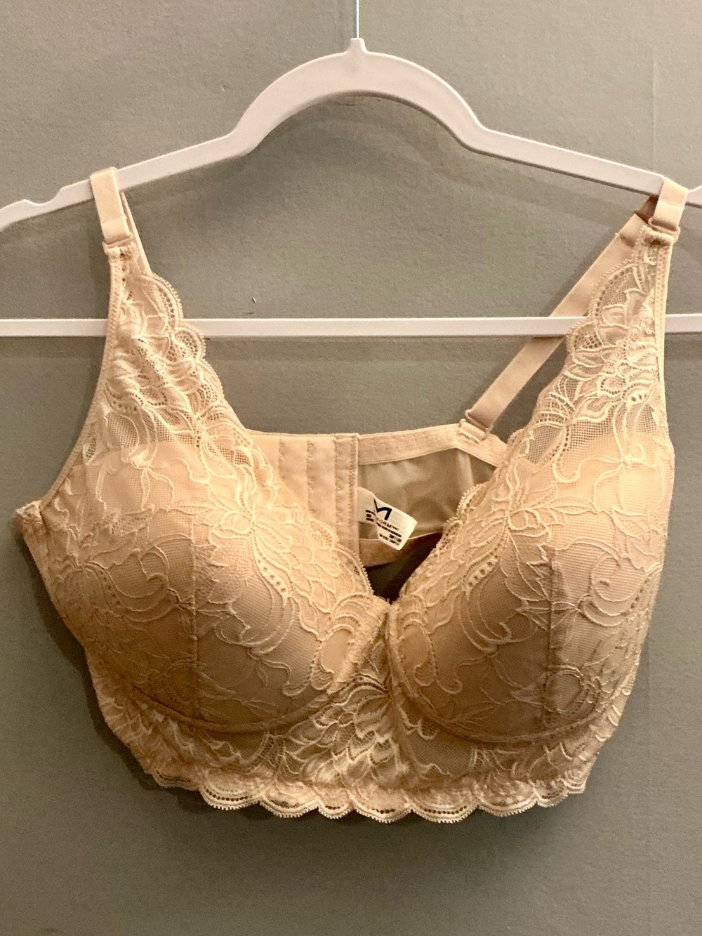 Maidenform 40D Nude Lace Longline Underwire Bra DM1188